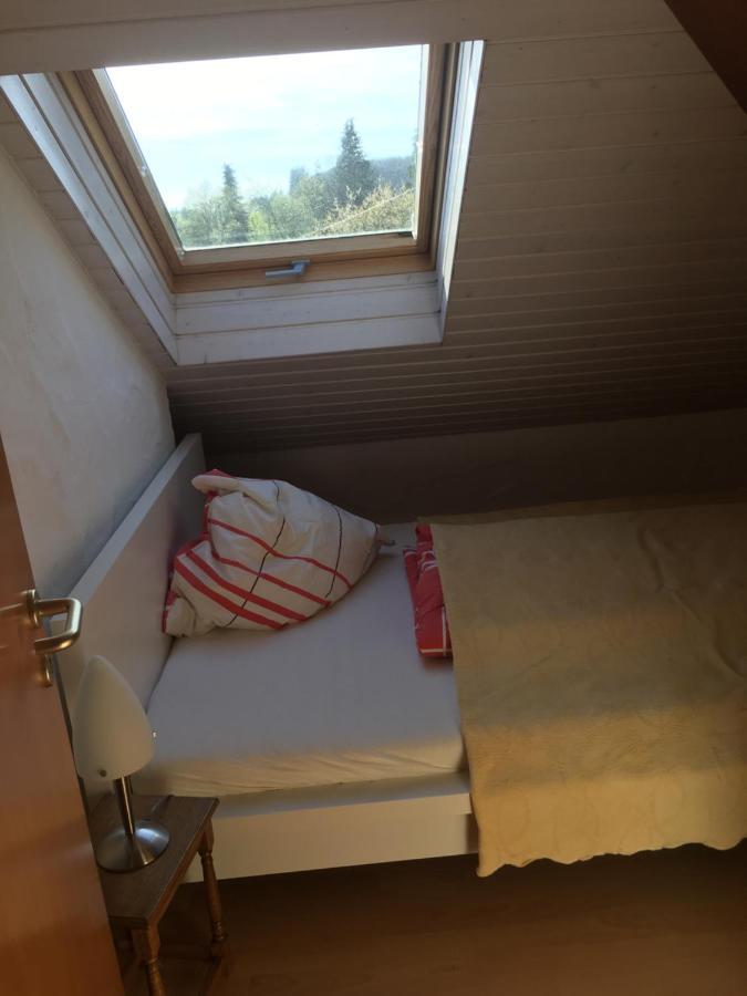 Ferienwohnung Nett Adenau Esterno foto